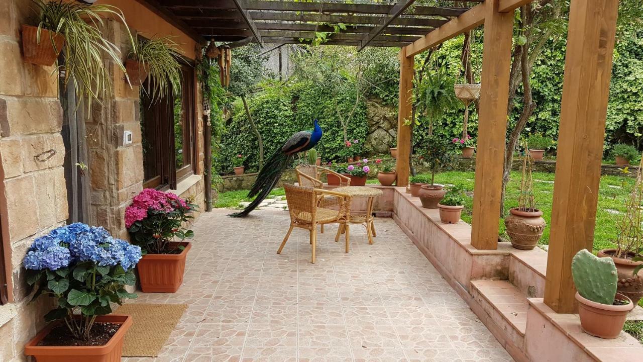 Appartamenti Casa Santi Портоферайо Екстериор снимка